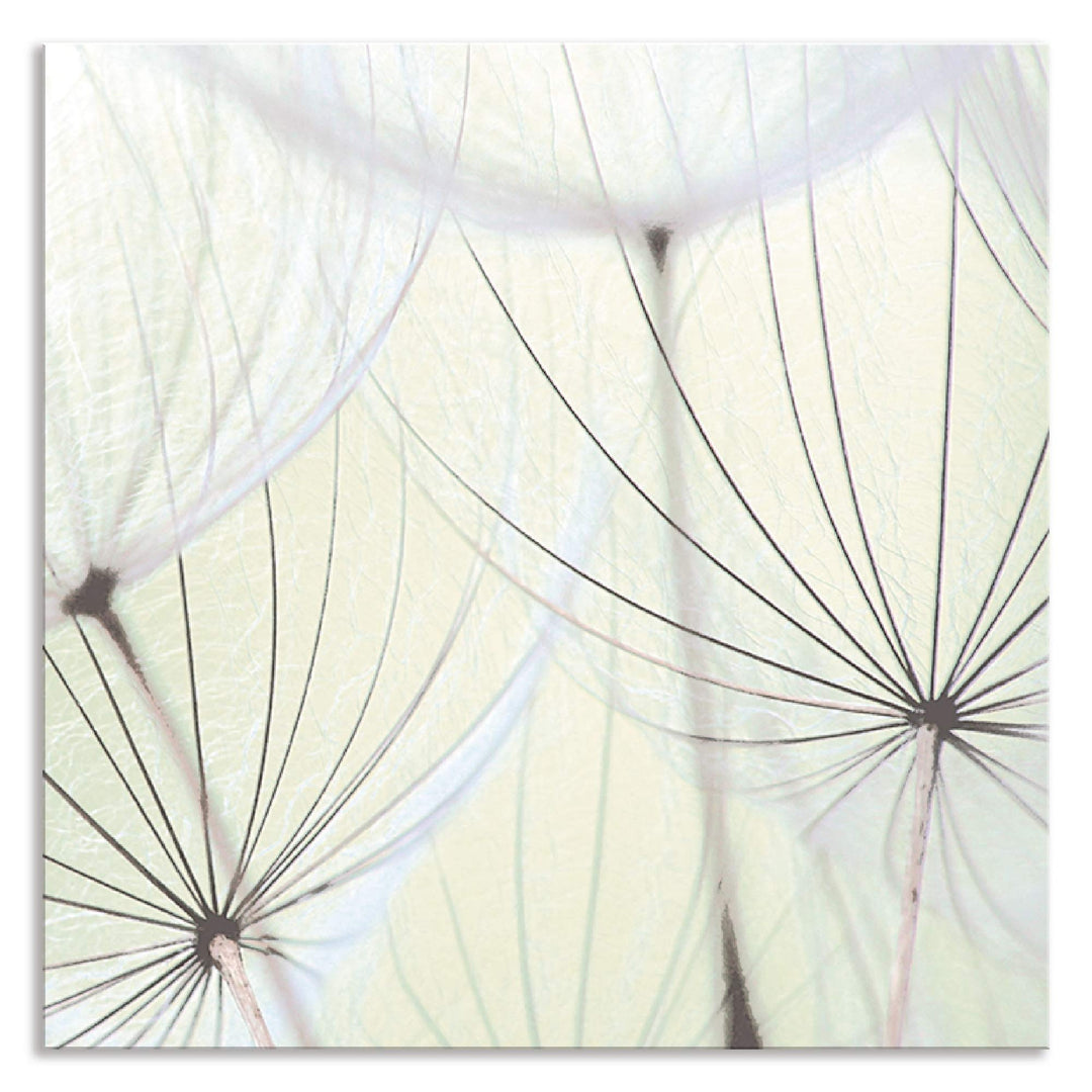 ARTland Spritzschutz Küche aus Alu für Herd Spüle 60x60 cm (BxH) Küchenrückwand mit Motiv Blume Pust
