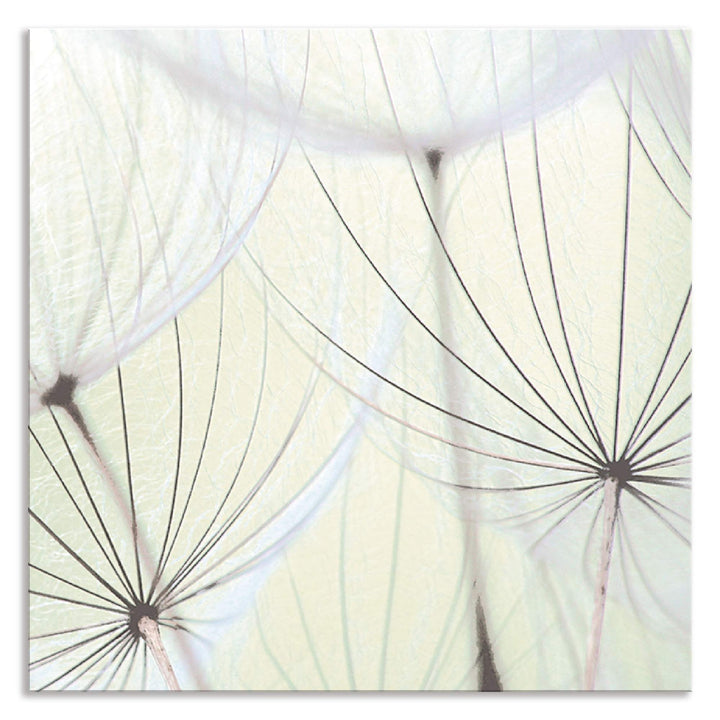 ARTland Spritzschutz Küche aus Alu für Herd Spüle 60x60 cm (BxH) Küchenrückwand mit Motiv Blume Pust