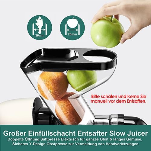 Fretta Slow Juicer Entsafter Gemüse und Obst Saftmaschine Silber, 200W Saftpresse Elektrisch Obstpre