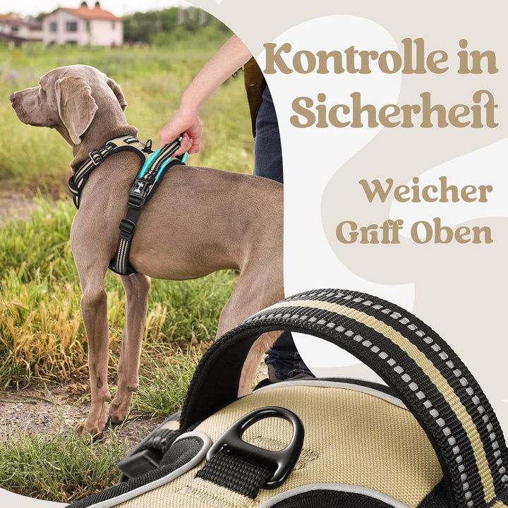 rabbitgoo Hundegeschirr Kleine Hunde, Verstellbare Geschirr Hund ohne Zug &amp; Würgen, Anti Zug hundege