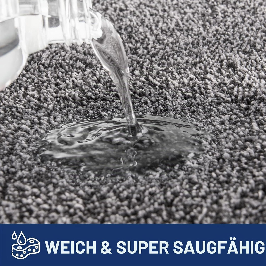 FCSDETAIL Schmutzfangmatte Innen 137 x 210 cm, rutschfeste Sauberlaufmatte, Eingangstürmatte mit Was