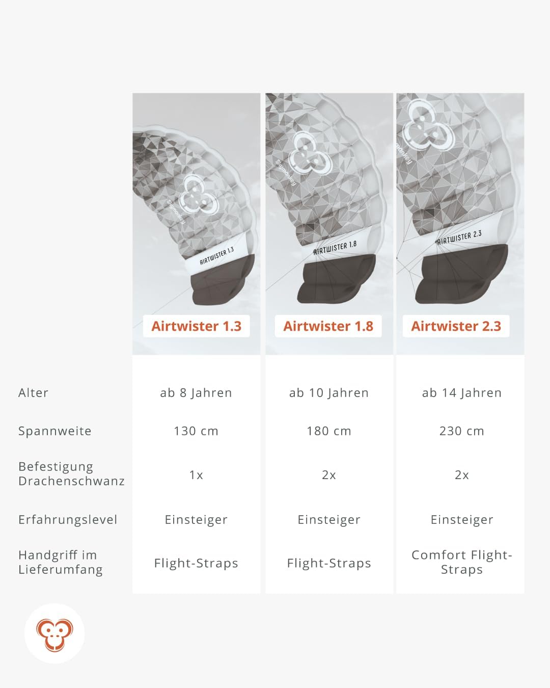 Skymonkey Airtwister Lenkmatte inkl. Packsack & Flugschlaufen - Lenkdrachen bereits fertig angeleint