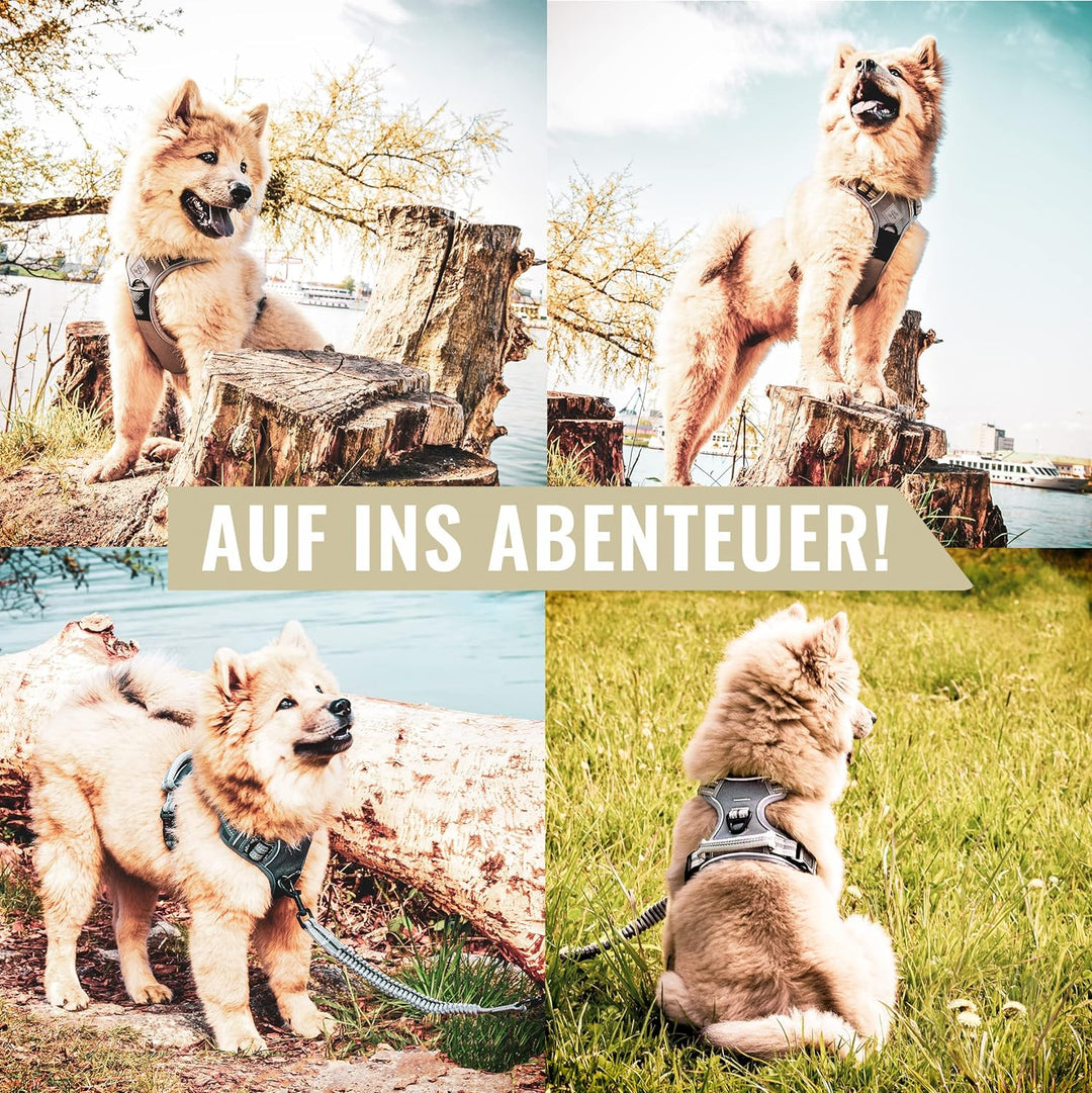 ne&no® Hundegeschirr mit passenden Ruckdämpfer [Developed by NE&NO] Hunde Geschirrset | Brustgeschir