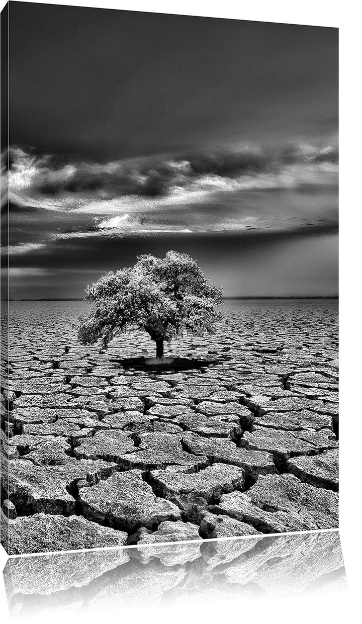 Pixxprint Monocrome, Der letzte Baum im ausgetrockneten Boden, Format: 100x70 auf Leinwand, XXL ries