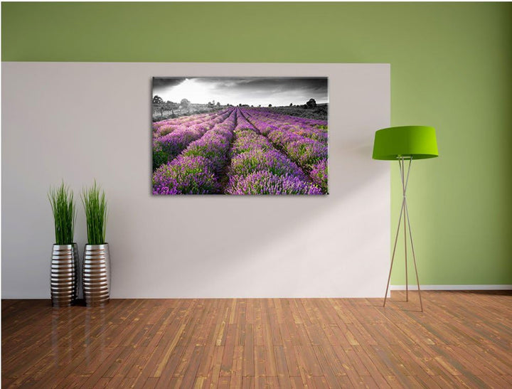 Lavendelfelder in der Provence schwarz/weiss Format: 100x70 auf Leinwand, XXL riesige Bilder fertig