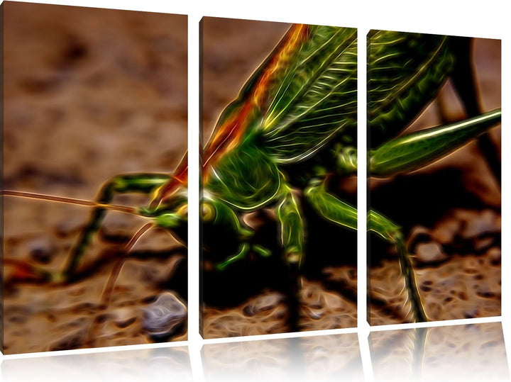 schöne Heuschrecke NewArt 3-Teiler Leinwandbild 120x80 Bild auf Leinwand, XXL riesige Bilder fertig
