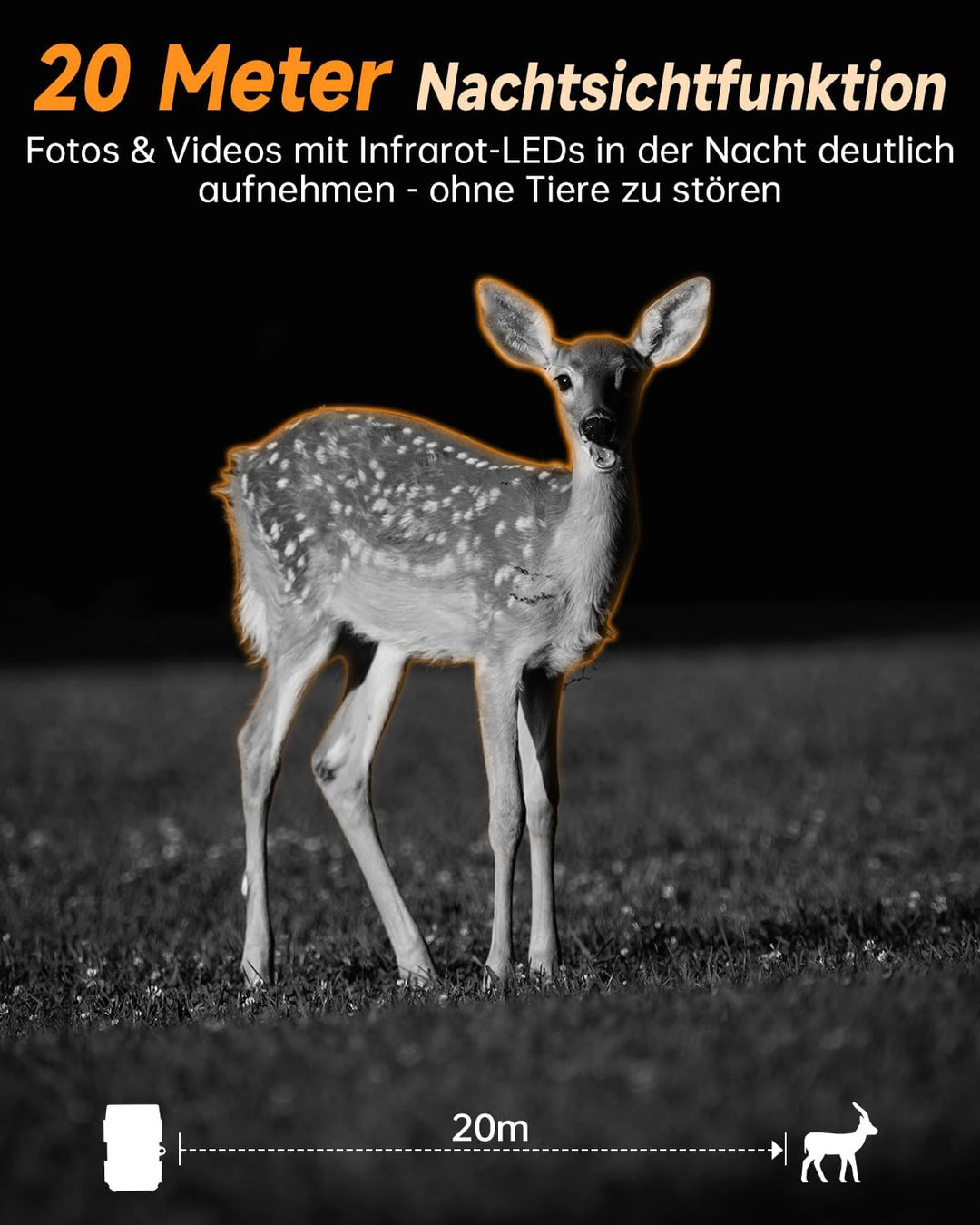Rollei Wildkamera 4K WiFi Solar, 48MP 4K Wildtierkamera mit Handyübertragung App & Bewegungsmelder N