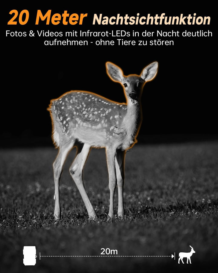 Rollei Wildkamera 4K WiFi Solar, 48MP 4K Wildtierkamera mit Handyübertragung App & Bewegungsmelder N