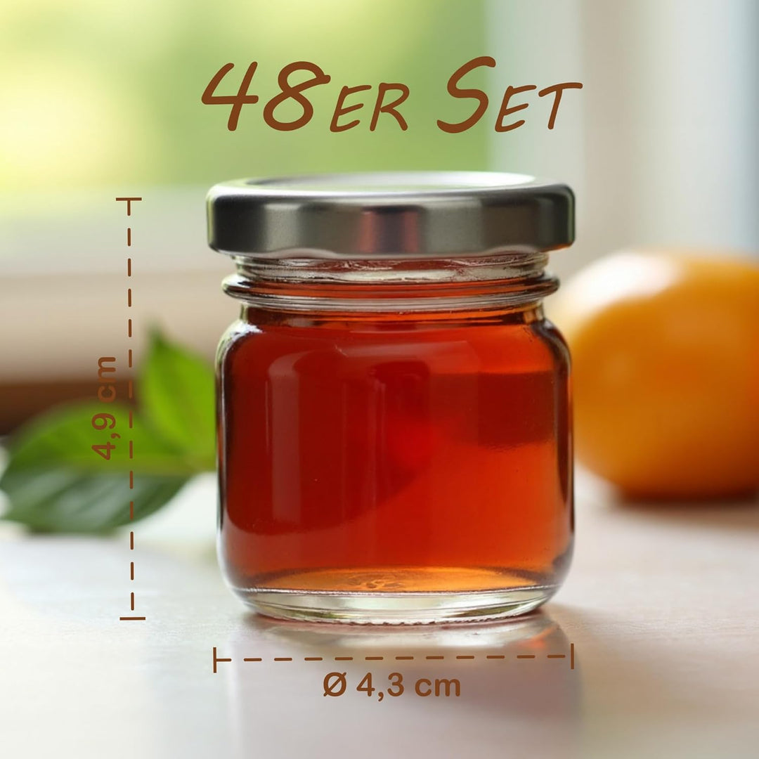 gouveo 48er Set Einmachgläser 40 ml Mini mit Schraub-Deckel silberfarben - Mini Vorratsgläser mit Dr