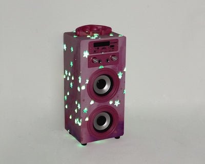 DYNASONIC (3. Generation | Tragbarer Karaoke-Bluetooth-Lautsprecher mit Mikrofonen | USB-Anschluss u