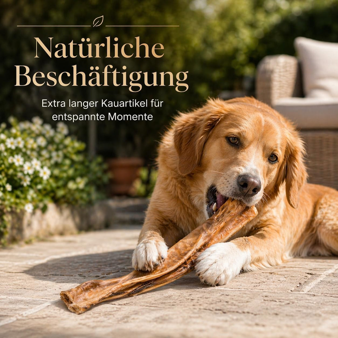 123...Hund dabei! - Rinderkopfhaut 30cm - 2,5kg, schonend getrocknete Rinderkopfhaut für Hunde, Qual