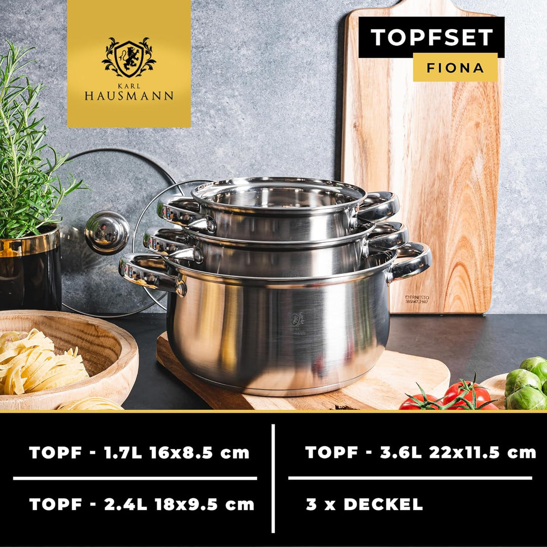 Topfset Induktion 3-teilig, Kochtopf Set mit Glasdeckel, Edelstahl mattiert, Induktions Töpfe Set un