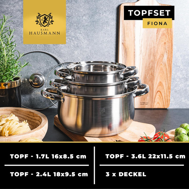 Topfset Induktion 3-teilig, Kochtopf Set mit Glasdeckel, Edelstahl mattiert, Induktions Töpfe Set un
