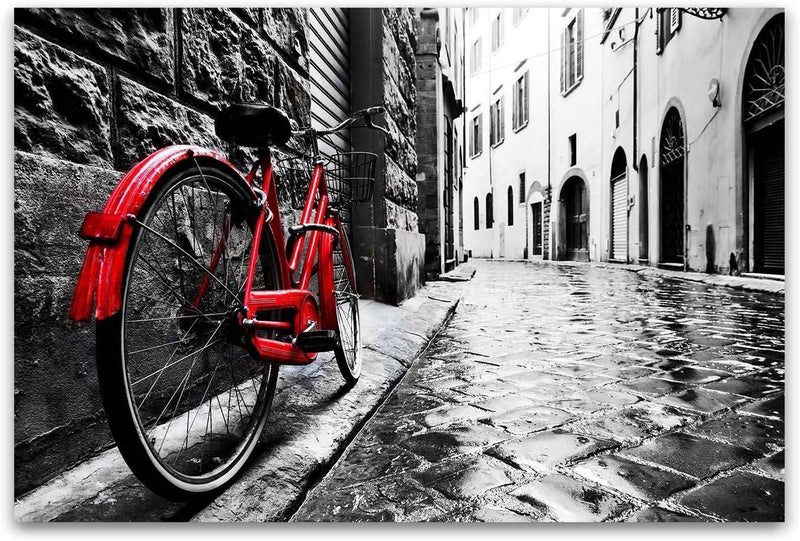 Startonight Leinwandbilder Schwarz und Weiss Fahrrad rosa, Doppelansicht Überraschung Modernes Dekor