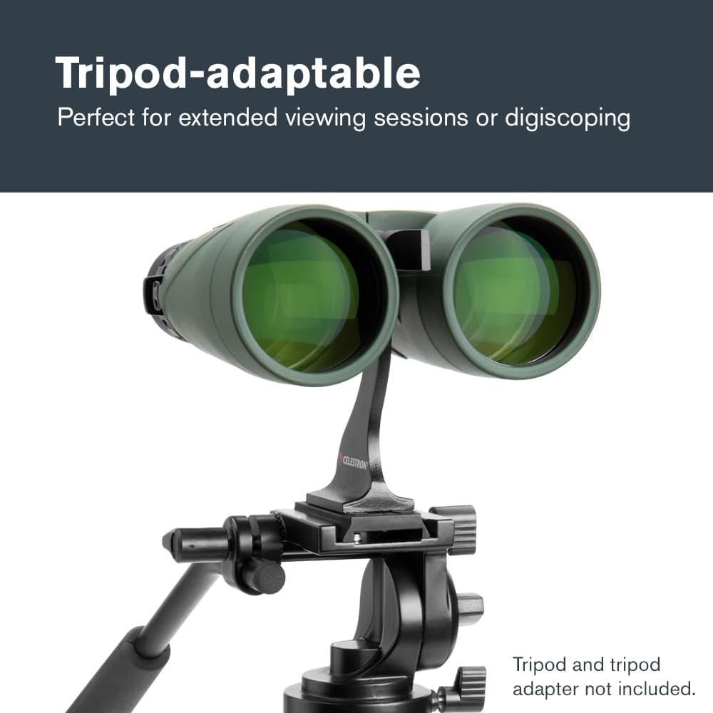 Celestron 71336-CGL Nature DX Fernglas, mit 12 x 56 Vergrösserung, mit BaK4-Prismen, Schwarz Nature