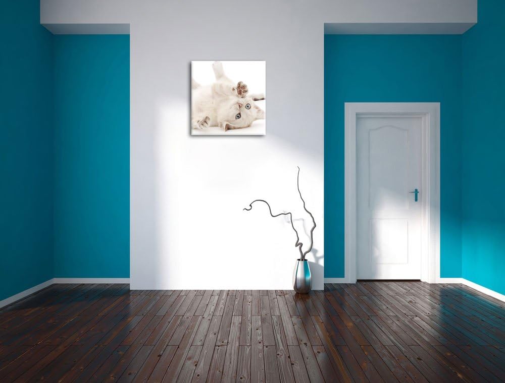 Pixxprint Kleine Katze, Format: 70x70 auf Leinwand, XXL riesige Bilder fertig gerahmt mit Keilrahmen