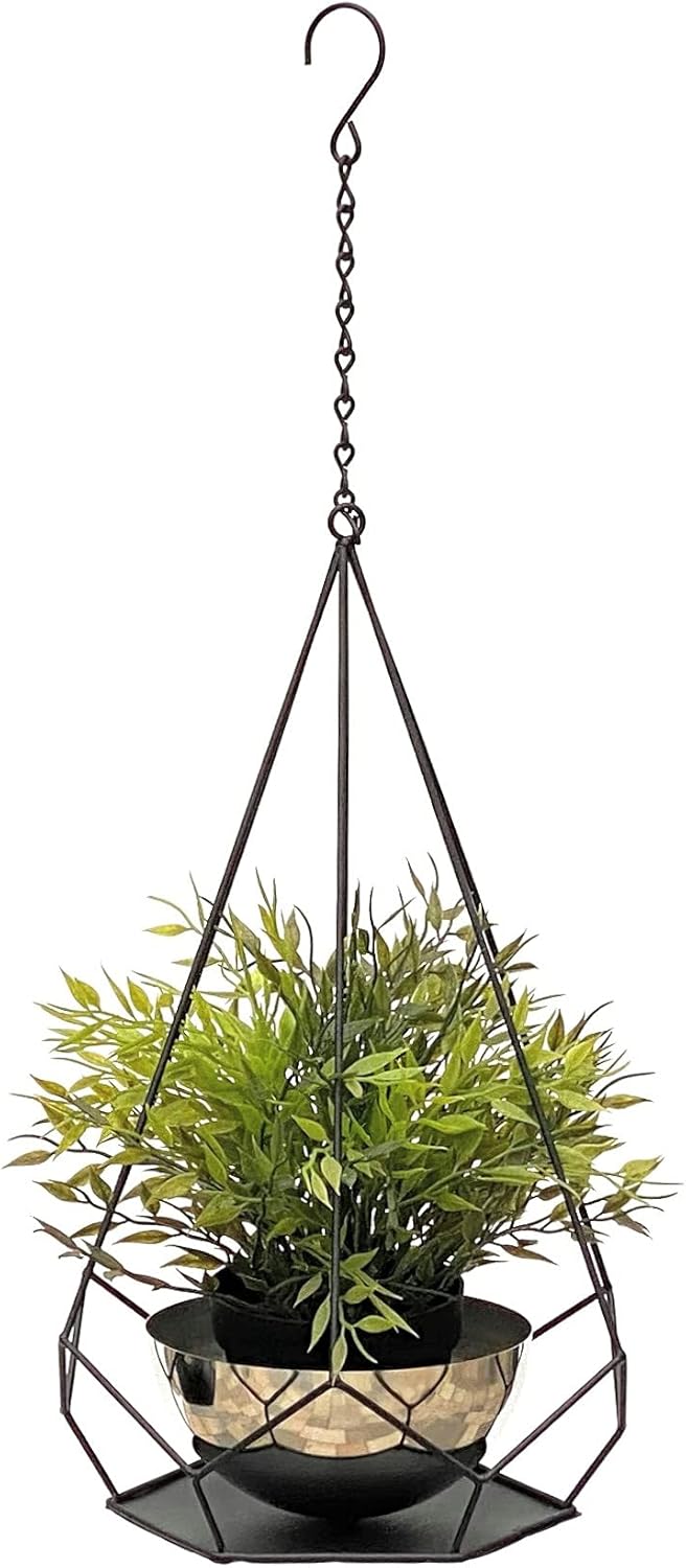 DanDiBo Blumenampel Innen Metall Wand Hängepflanzen 59 cm 96095 S mit Topf 6 Ecken Pflanzenhänger Bl