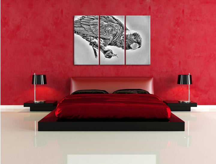 Pixxprint Edelpapagei auf AST als Leinwandbild/Grösse: 3 Teilig (120x80) cm/Wandbild/Kunstdruck/fert