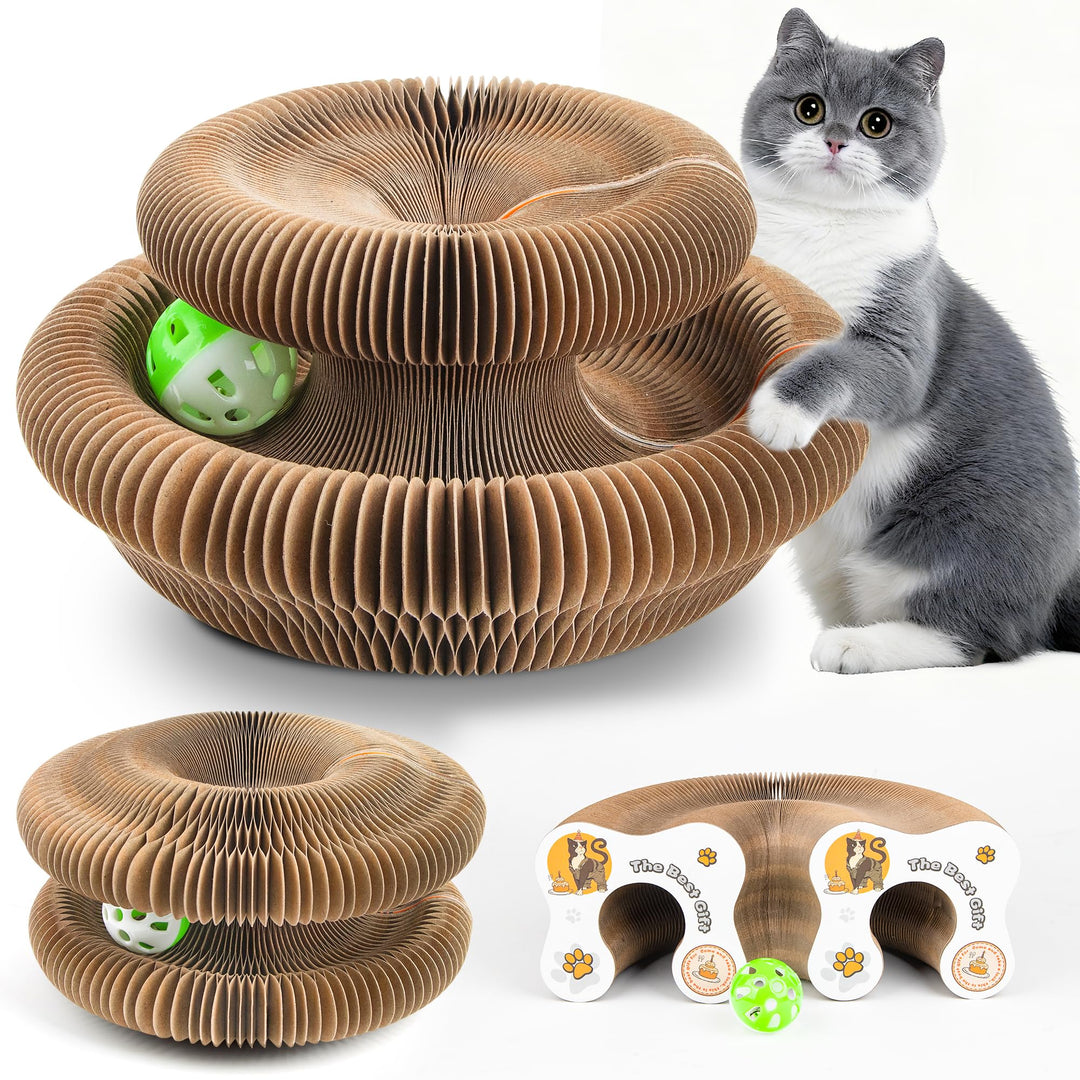 Kratzbrett Katze, 2-in-1 Cat Kratzbrett mit Glöckchen, Magische Orgel Cat Scratching Board, Zusammen