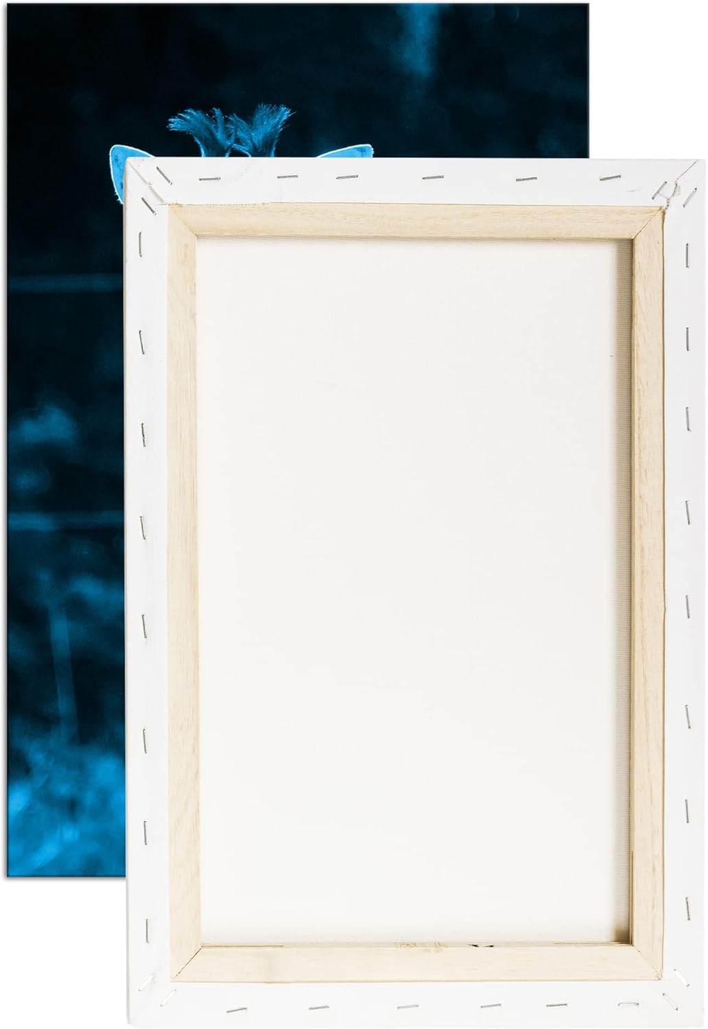 deyoli süsse junge Giraffe Format 60x40 Effekt: Monocrome Blau als Leinwandbild, Motiv fertig gerahm