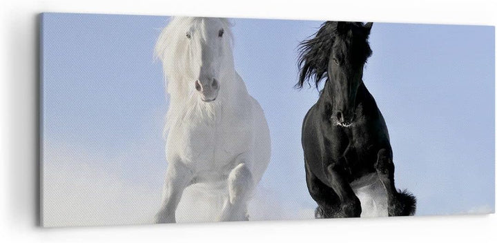 Wandbilder Dekoration Wohnzimmer Tiere Schönheit Wettbewerb Panorama Bilder auf Leinwand 120x50cm Le