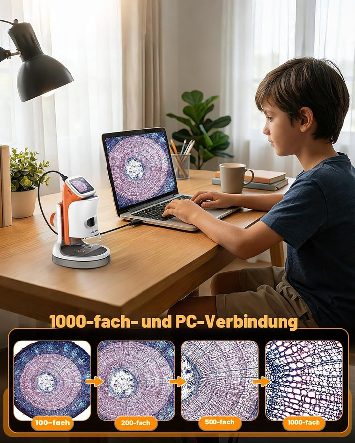 Mikroskop für Kinder mit Stand: Digitales Handmikroskop 100 – 1000 x: LCD-Display 4 K, 2,0 Zoll, USB