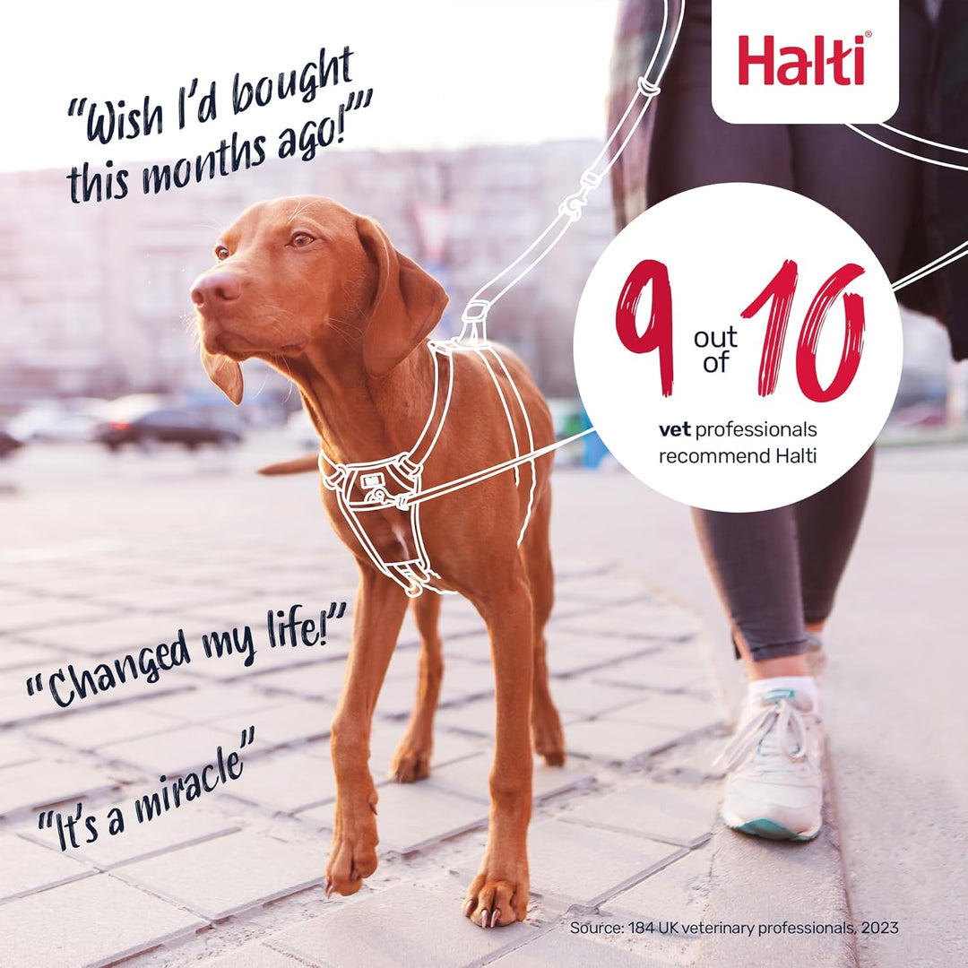 Halti No Pull Geschirr und Trainingsleine Kombi-Pack, Stop Dog Pulling on Walks with Halti, Includes