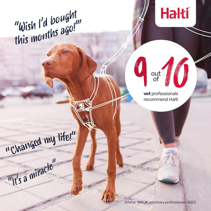 Halti No Pull Geschirr und Trainingsleine Kombi-Pack, Stop Dog Pulling on Walks with Halti, Includes