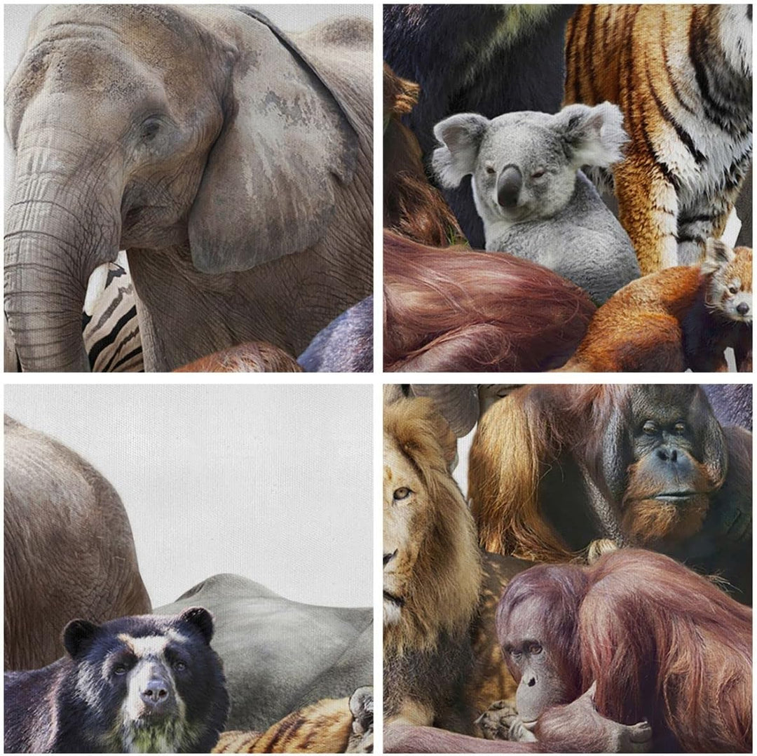 ARTTOR Bilder auf Leinwand 100x70cm Leinwandbild Tiere Koala Löwe Affe Gross Wanddeko Bild Schlafzim
