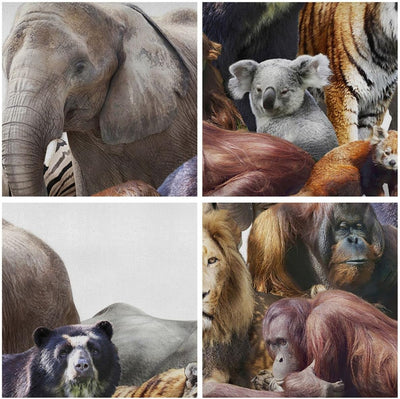 ARTTOR Bilder auf Leinwand 100x70cm Leinwandbild Tiere Koala Löwe Affe Gross Wanddeko Bild Schlafzim