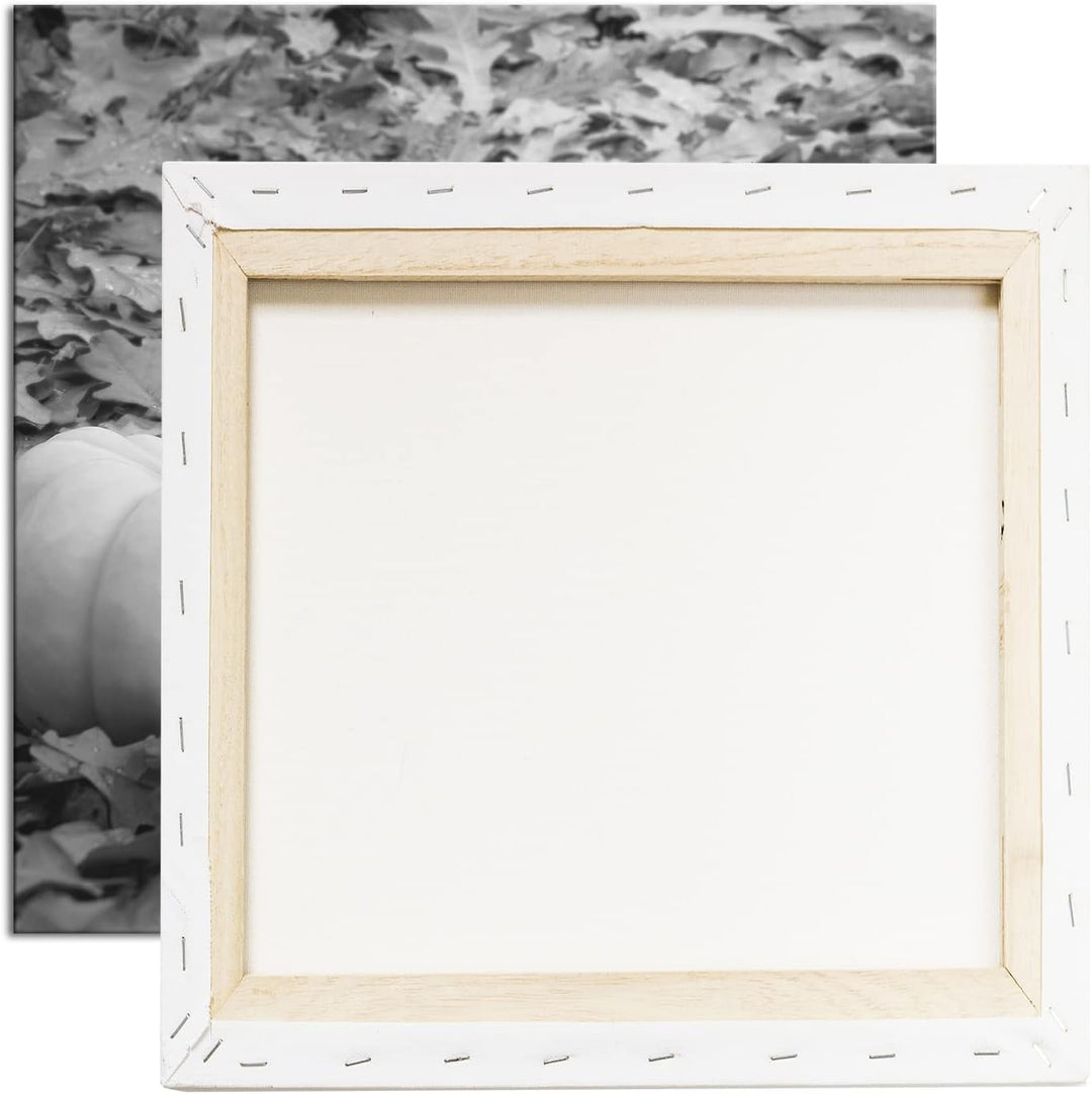 deyoli Herbstliche Kürbise Effekt: Schwarz&Weiss Format: 70x70 als Leinwandbild, Motiv fertig gerahm