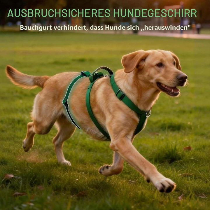 Hundegeschirr Ausbruchsicher, Anti Zug Sicherheitsgeschirr Hund, Verstellbare Brustgeschirr mit Gepo