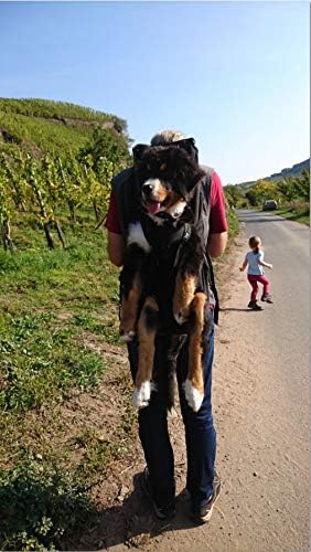 Small PREMIUM Hundetasche als Hunderucksack / Rucksack für Hunde / Hundetrage / Hundetragetasche / H