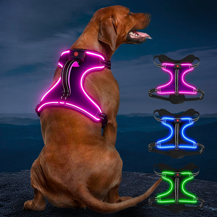 Hundegeschirr Leuchtend Wiederaufladbares Leuchtgeschirr für Hunde Led Beleuchtetes Hundegeschirr fü