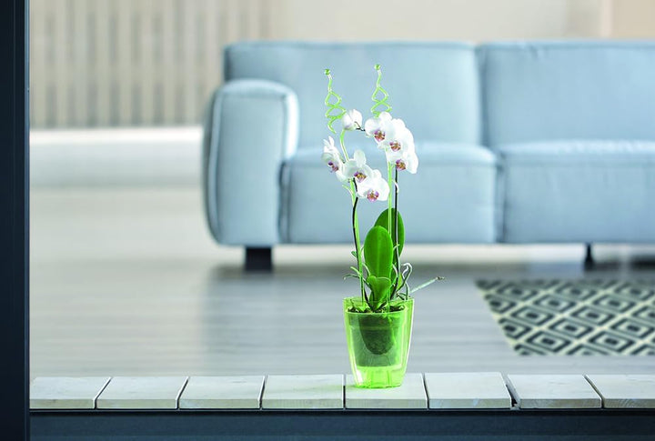 Tymar Orchideenstab, Orchideenunterstützung Kunststoff (58,5 cm, Transparent) 58,5 cm Transparent, 5