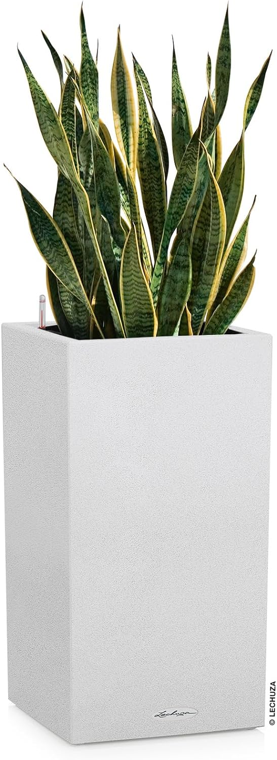 Lechuza Canto Stone 30 high All-in-One Set quarzweiss 13607 30x30x56 cm Quarzweiss, 30x30x56 cm Quar