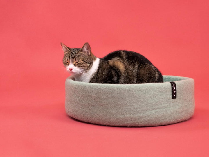 myfelt Fine Schurwolle-Katzenkorb, Türkis mit rotorangem Inlay, 40 x 13 cm