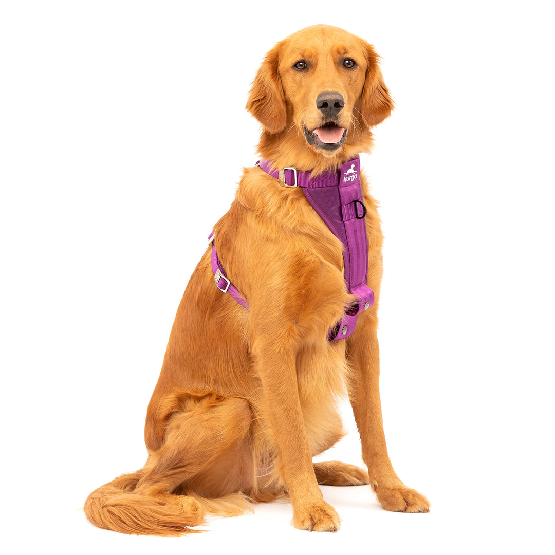Kurgo Tru-Fit Hundegeschirr, Crash-Test-erprobtes Auto-Sicherheitsgurt, Für Hunde von 2 bis 5 kg, Gr