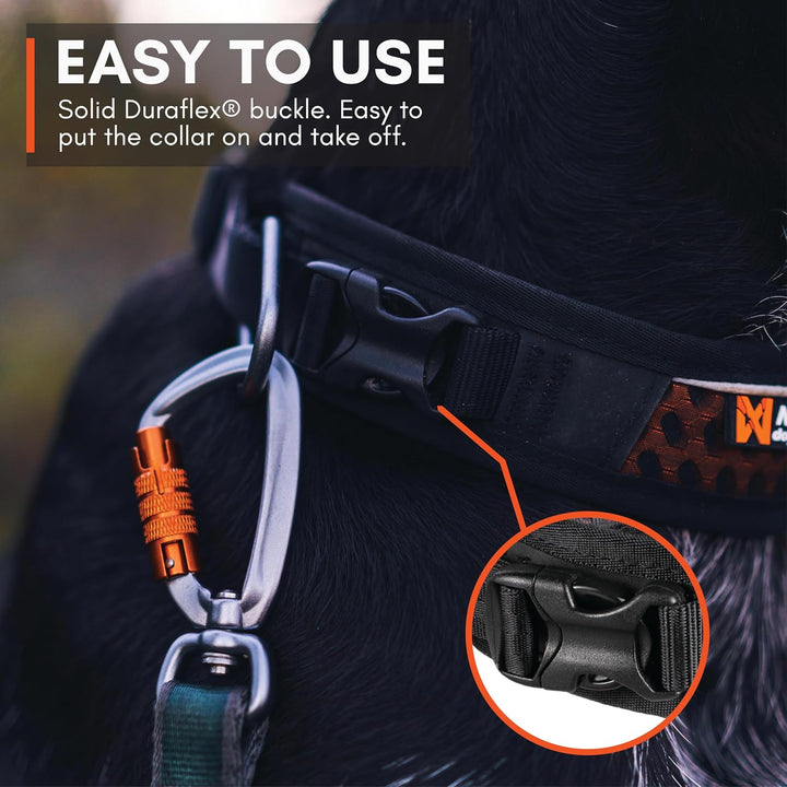 Non-stop dogwear Rock Collar Adjustable |3446| Verstellbares Funktionshalsband, Grösse:XL