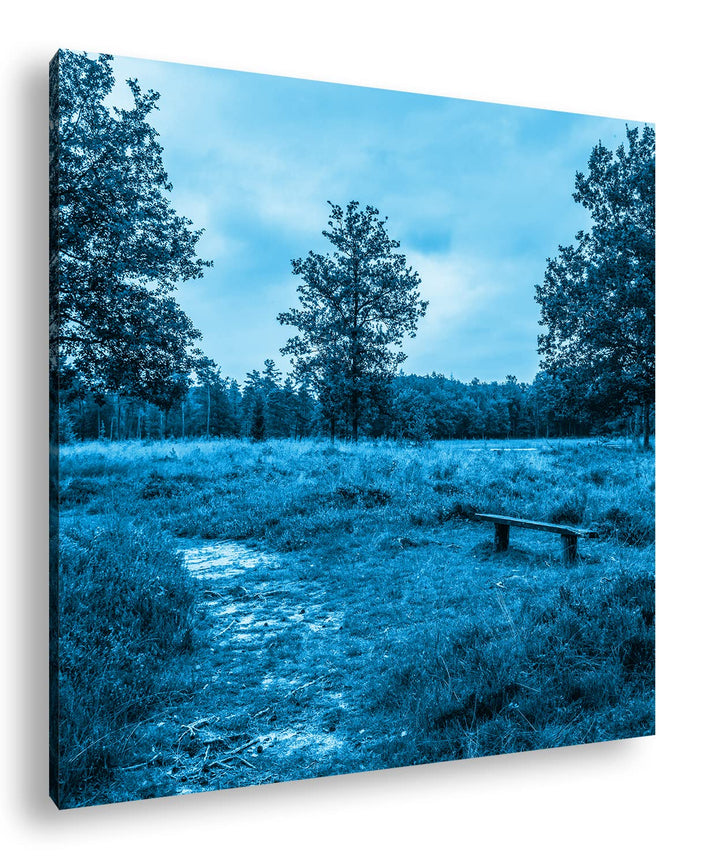 deyoli einsame Bank im Wald Format: 70x70 Effekt: Monocrome Blau als Leinwand, Motiv fertig gerahmt