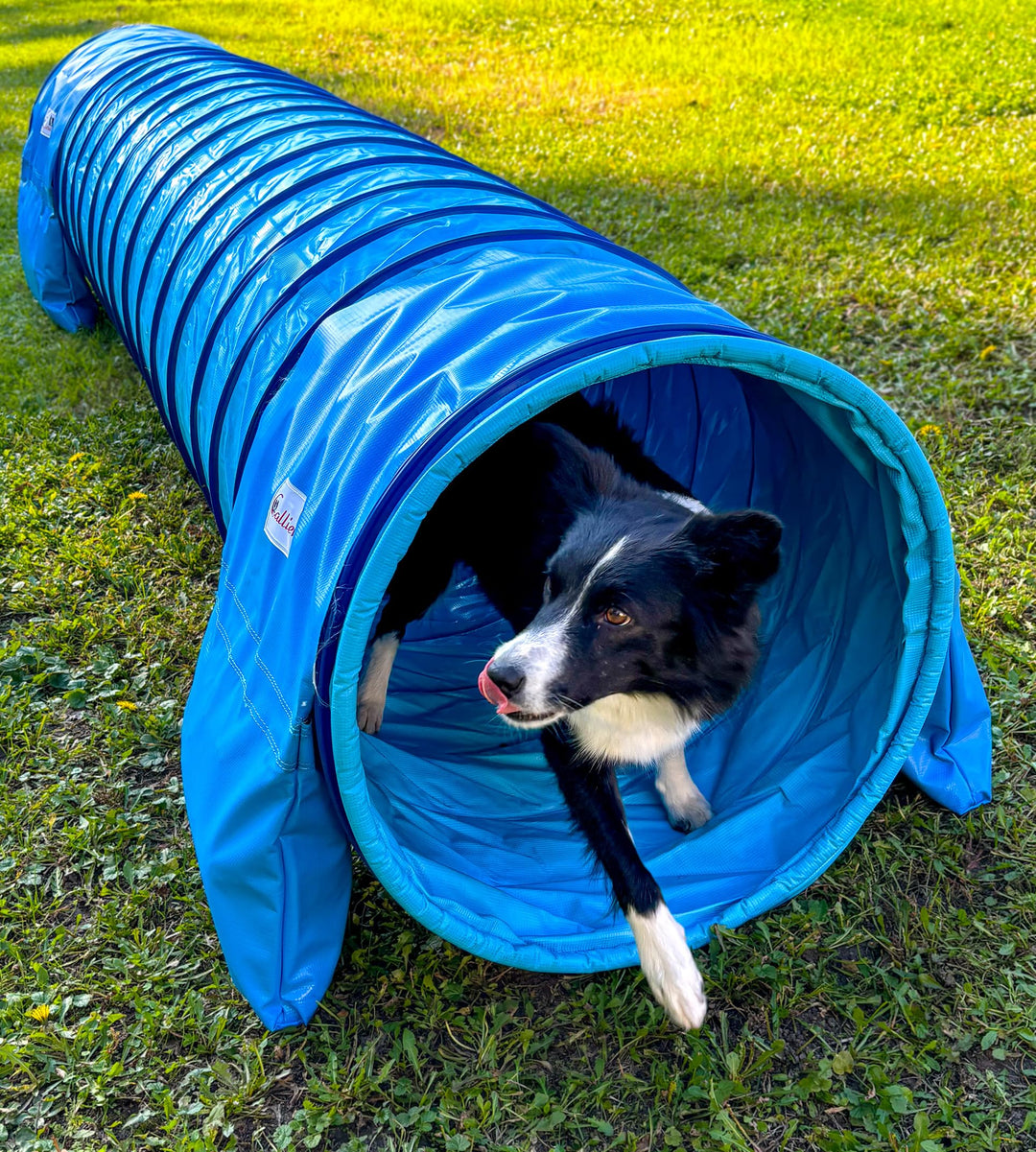 Callieway® Dog Agility Tunnel Profi Hunde Tunnel Agility Gerät (Stützsandsäcke bereits inklusive) (H