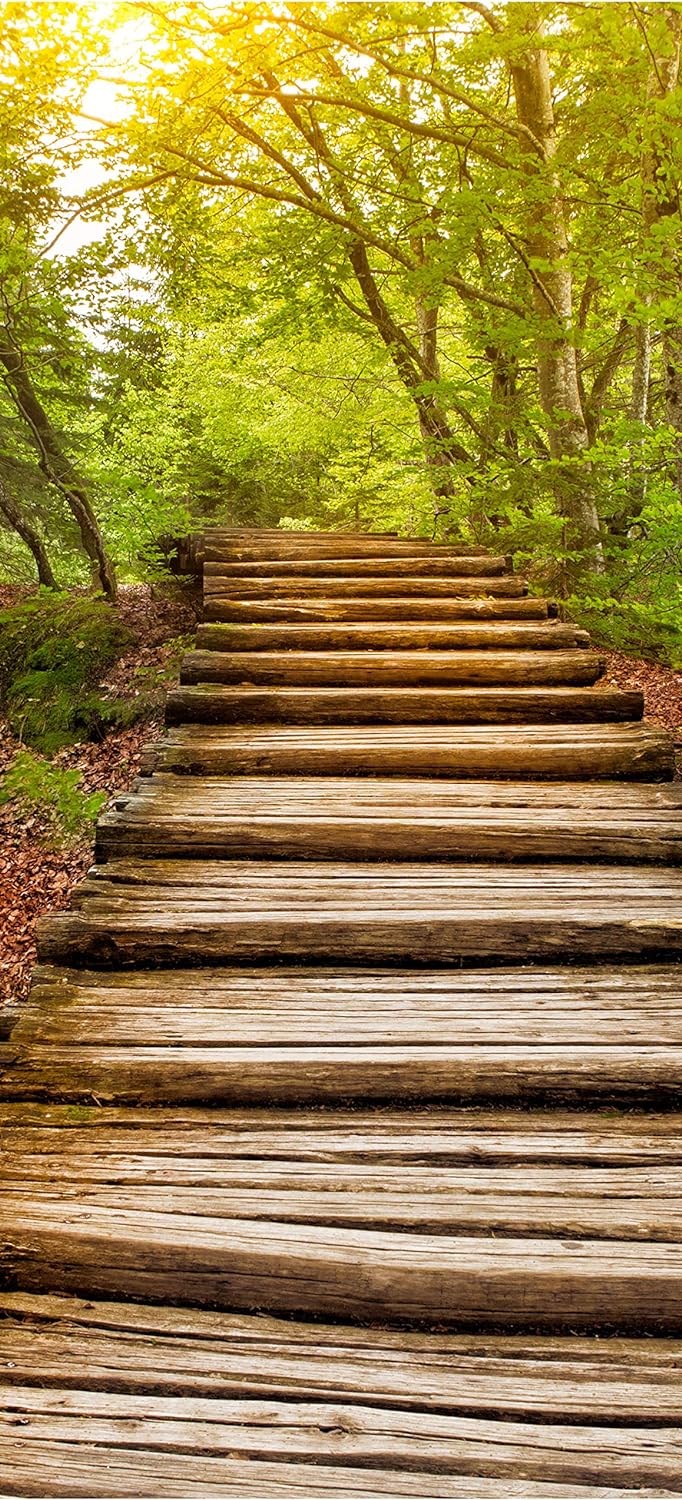 wandmotiv24 Türtapete Holz-treppen im Wald, Wald-weg, Bäume 70 x 200cm (B x H) - selbstklebende Stru