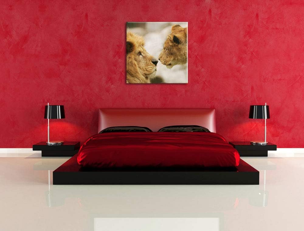 Verliebtes Löwenpaar, Format: 70x70 auf Leinwand, XXL riesige Bilder fertig gerahmt mit Keilrahmen,