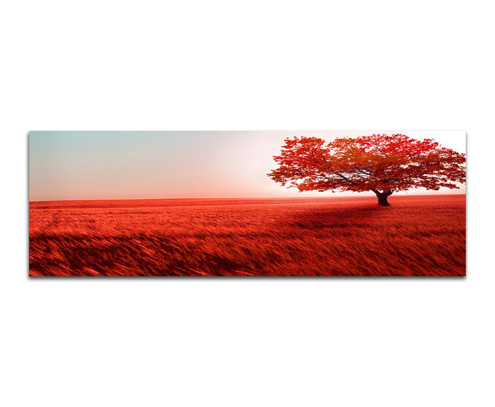 Paul Sinus Art Panoramabild auf Leinwand und Keilrahmen 150x50cm Landschaft Wiese Baum rot Licht