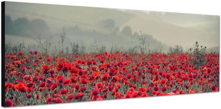 Paul Sinus Art Panoramabild auf Leinwand und Keilrahmen 150x50cm Mohnblumen Feld Nebel Sonnenaufgang