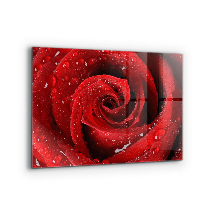 Wallfluent Fliesenschutz Mit Motiv Küchenrückwand Spritzschutz Gehärtetes Glas Glasrückwand 80x60cm