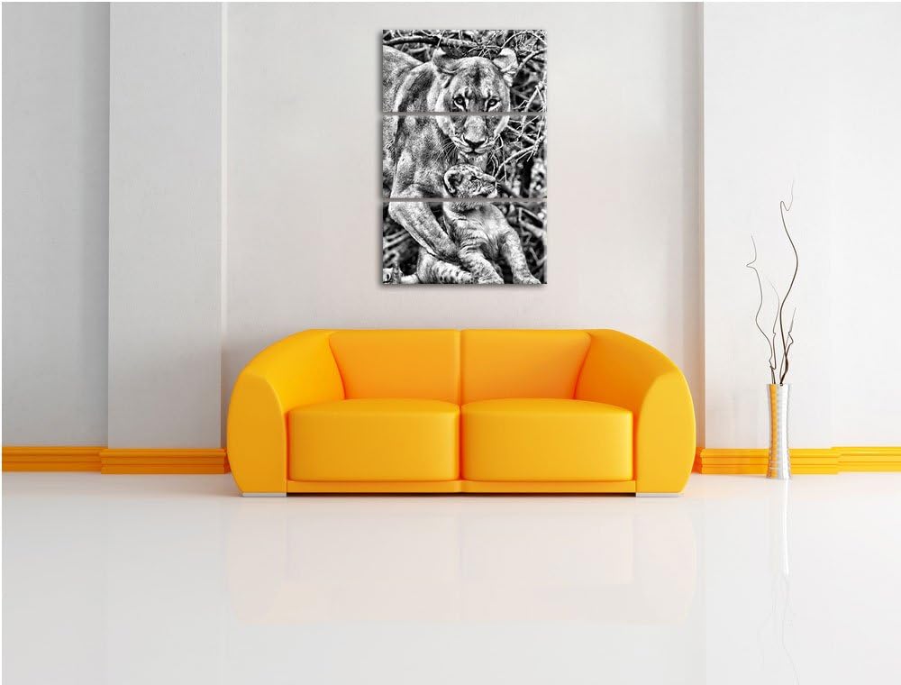 Pixxprint Löwin spielt mit Jungtier als Leinwandbild/Grösse: 3 Teilig (120x80 cm) cm/Wandbild/Kunstd