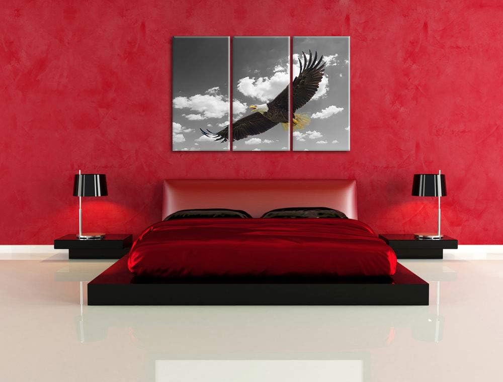 prächtiger Weisskopfseeadler beim fliegen schwarz/weiss 3-Teiler Leinwandbild 120x80 Bild auf Leinwa
