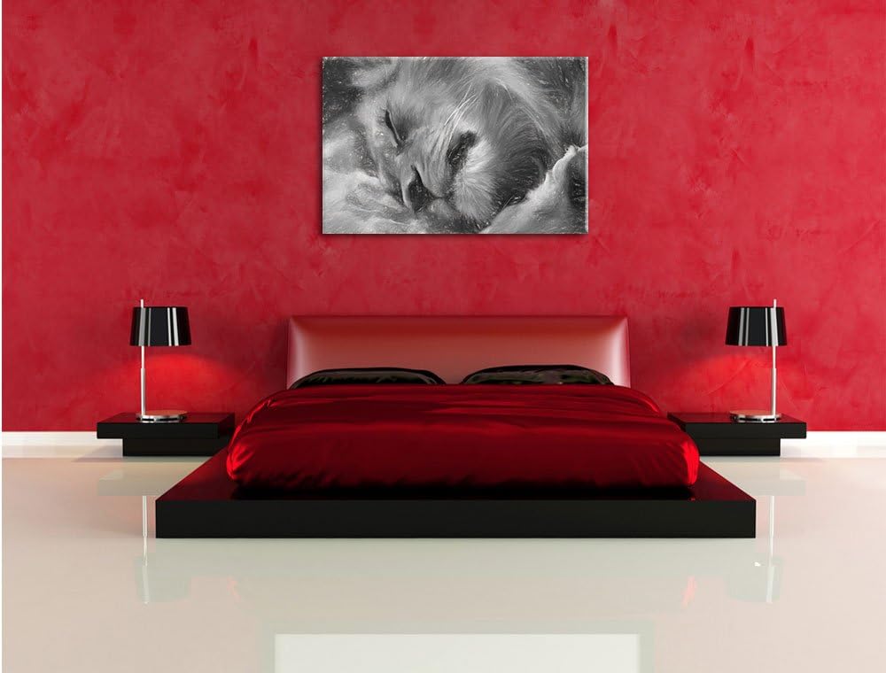 Pixxprint schlafender Löwe Kunst als Leinwandbild/Grösse: 100x70 cm/Wandbild/Kunstdruck/fertig bespa