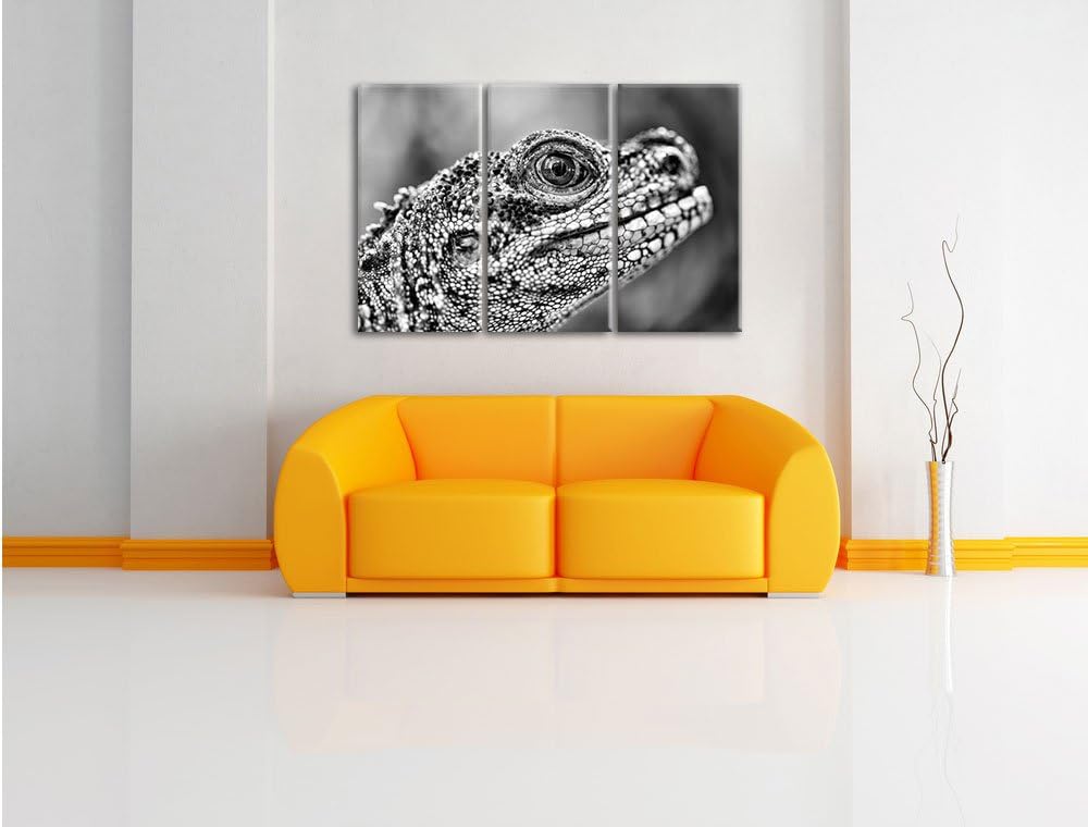 Pixxprint grosser Schuppenwaran als Leinwandbild/Grösse: 3 Teilig (120x80) cm/Wandbild/Kunstdruck/fe